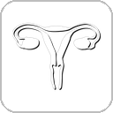 Womb icon