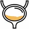 paf_pee stage 1
