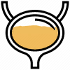 paf_pee stage 3