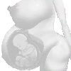 Alternative Fetus
