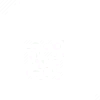 Stock Spider eggs